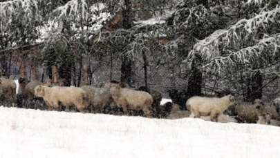 W Tatrach spadł śnieg! TOPR ostrzega: Jest bardzo zimno i ślisko
