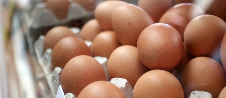 Skażone fipronilem jaja wykryto w 40 krajach, w tym w 24 państwach Unii Europejskiej - donosi niemiecka agencja dpa. Nie podaje źródeł informacji.