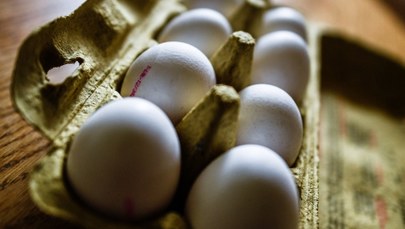 Afera ze skażonymi jajami. Eksperci zbadają sytuację w 4 państwach UE