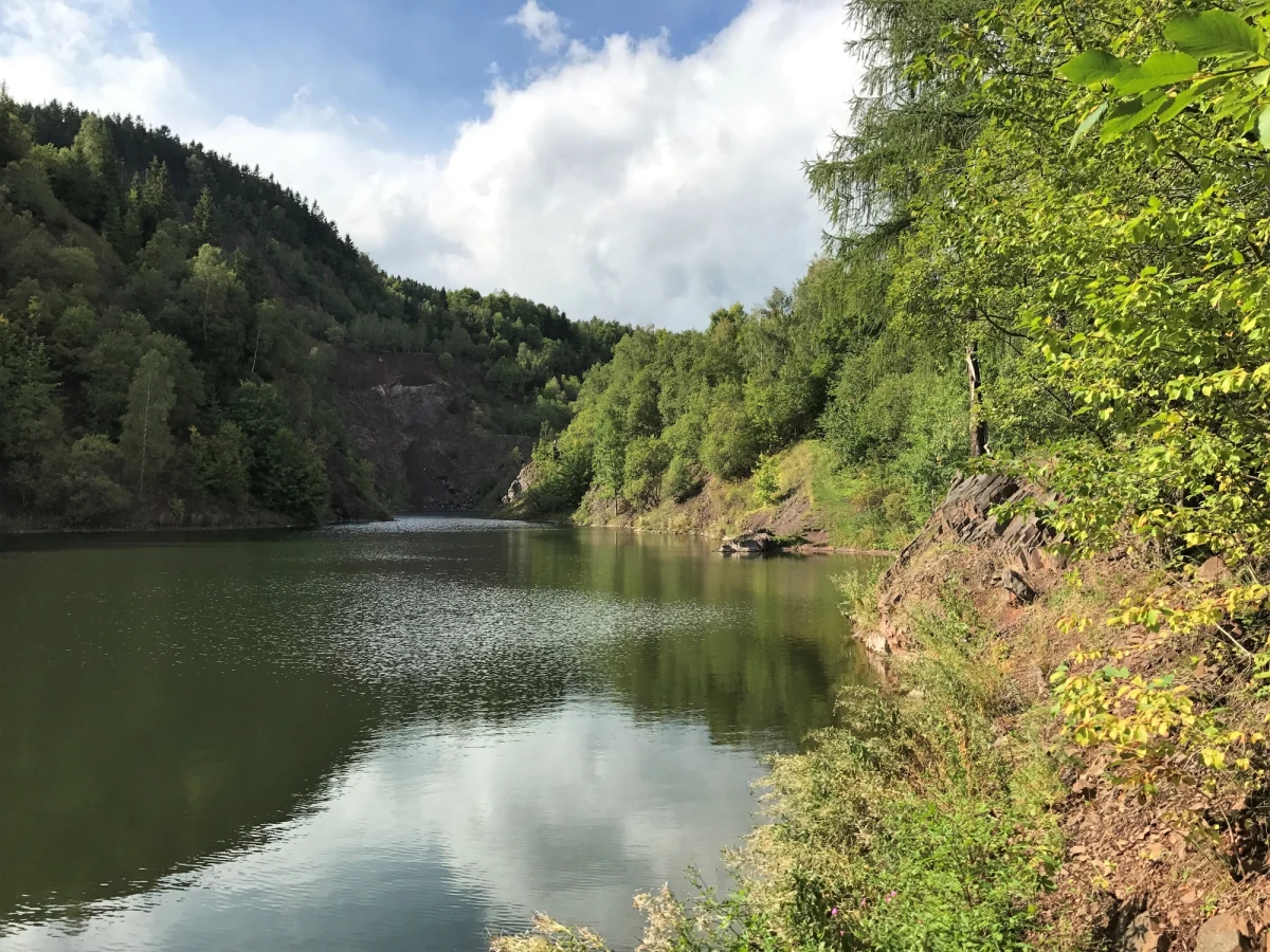 Piękne widoki, trasy rowerowe, podziemia kompleksu Riese – to dolnośląska Głuszyca, w której gościliśmy w ramach cyklu Twoje Miasto w Faktach RMF FM. Niespełna siedmiotysięczna miejscowość otoczona jest Górami Swoimi, Kamiennymi i Wałbrzyskimi. To miejsce dla pasjonatów aktywnego wypoczynku i miłośników historii. 