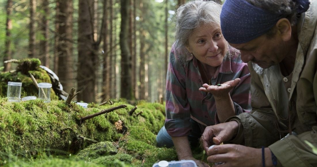 "Pokot" w reżyserii Agnieszki Holland i jej córki Kasi Adamik zostanie pokazany podczas Przeglądu Filmów Unii Europejskiej w American Film Institute (AFI). Przegląd odbywa się w historycznym kinie "Silver Theater" pod Waszyngtonem.