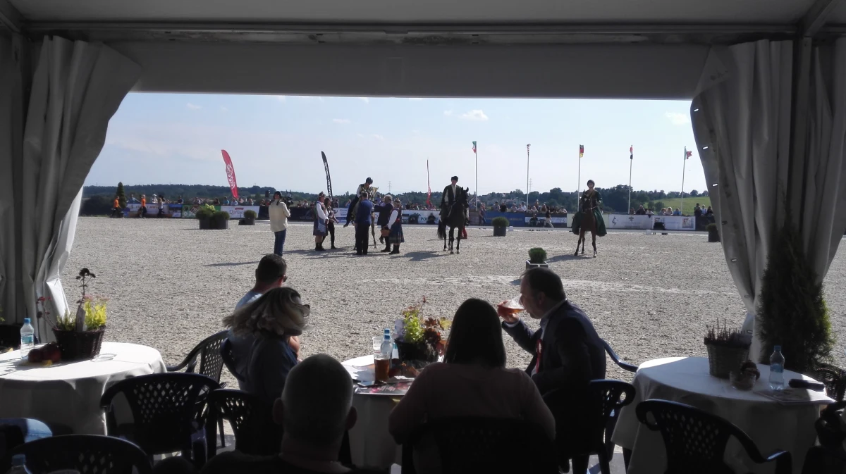 W małopolskich Michałowicach kończy się drugi dzień Pokazu Koni Arabskich. Sobotni finał należał do Prezenterów-Amatorów, którzy nie zajmują się końmi zawodowo.