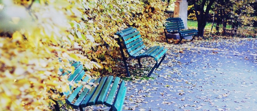 Po słonecznym weekendzie, zapowiada się dość deszczowy i burzowy początek tygodnia. W poniedziałek temperatura będzie oscylować wokół 25-27 stopni Celsjusza, ale już we wtorek spadnie poniżej 20 stopni. 