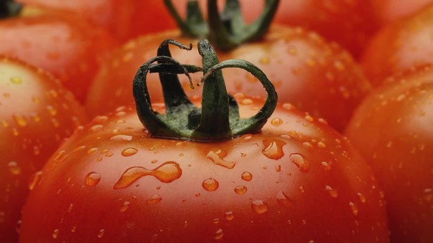 Wiadomo, że najsmaczniejsze są te, które zerwiemy prosto z krzaczka, ale nie tylko smak pomidorów ma znaczenie. To przede wszystkim źródło cennych witamin, prawdziwy zastrzyk zdrowia dla naszego organizmu. Jakie skrywają w sobie właściwości? Koniecznie zobaczcie naszą rozmowę z dietetykiem!