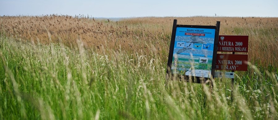 Nowy Świat to najlepsze miejsce dla przekopu przez Mierzeję Wiślaną. Lokalizację powinniśmy ogłosić mniej więcej za miesiąc - przyznaje w rozmowie z reporterem RMF FM minister gospodarki morskiej i żeglugi śródlądowej Marek Gróbarczyk. Choć o Nowym Świecie nieoficjalnie mówi się od dawna - powstają nawet wizualizacje z tą lokalizacją, strona rządowa nadal nie potwierdziła tej ważnej dla mieszkańców informacji.