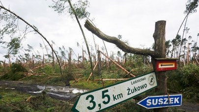 Wojewoda pomorski: 120 mln zł strat po nawałnicy to za mało, by wystąpić o pomoc z UE