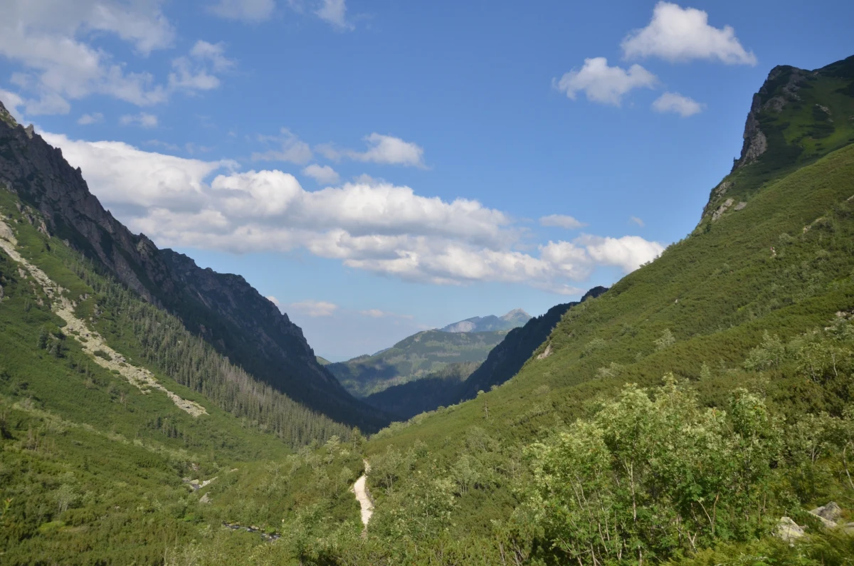 Pozostałości obozowiska oraz elementy ekwipunku turystycznego i odzieży odnaleźli w tatrzańskiej Dolinie Roztoki policjanci i ratownicy TOPR. W ubiegłym tygodniu w tym rejonie odkryto ludzkie szczątki, które - według śledczych - mogły tam leżeć nawet 10 lat.