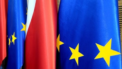 Polska kontra unijne „jastrzębie”. Rząd musi wybrać: Puszcza Białowieska lub relokacja uchodźców