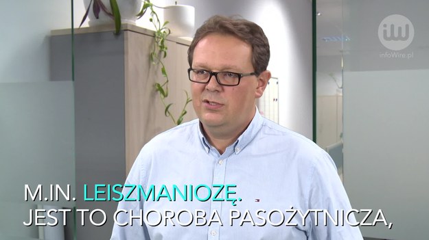 Wydaje się, że Polacy coraz chętniej wyjeżdżają na wakacje ze swoimi zwierzętami. Czy na pewno jest to rozsądne? Niekoniecznie, szczególnie jeśli udajemy się za granicę, np. do jakiegoś egzotycznego kraju.