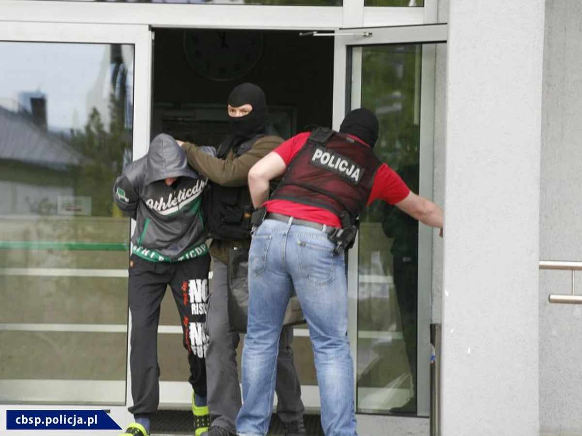 Aż 56 członków grup przestępczych zostało zatrzymanych podczas wspólnej operacji funkcjonariuszy CBŚP z Zielonej Góry i policjantów z Niemiec. Rozbity międzynarodowy gang zajmował się kradzieżami na terenie Niemiec paneli fotowoltaicznych - przekształcających światło w energię elektryczną. Śledczy przedstawili zatrzymanym w sumie 228 zarzutów.