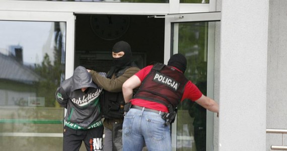 Aż 56 członków grup przestępczych zostało zatrzymanych podczas wspólnej operacji funkcjonariuszy CBŚP z Zielonej Góry i policjantów z Niemiec. Rozbity międzynarodowy gang zajmował się kradzieżami na terenie Niemiec paneli fotowoltaicznych - przekształcających światło w energię elektryczną. Śledczy przedstawili zatrzymanym w sumie 228 zarzutów.