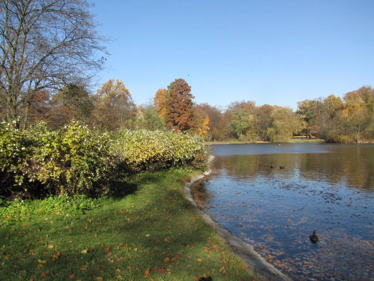 ​W piątek - 22 września - wieczorem Słońce przejdzie przez punkt równonocy jesiennej i tym samym zacznie się astronomiczna jesień. W sobotę - 23 września - powitamy jesień także w kalendarzu. O tej porze roku na niebie można podziwiać m.in. kilka malowniczych koniunkcji planet z Księżycem i roje meteorów, np. Geminidy.