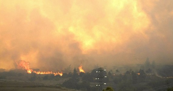 Ponad 2 tys. hektarów lasów i gruntów rolnych strawił pożar na Gran Canarii, głównej wyspie hiszpańskiego archipelagu Wysp Kanaryjskich. Przed południem ewakuowanych było ponad 1000 osób z terenów zagrożonych przez żywioł.
