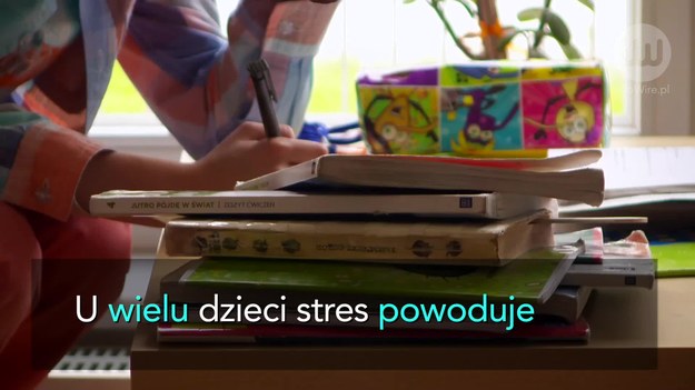 Rok szkolny rozpoczął się już na dobre. Czy wszyscy uczniowie radzą sobie w powakacyjnej rzeczywistości? Niestety nie. W przypadku wielu dzieci szkoła – z różnych powodów – wiąże się z dużym stresem, który może mieć bardzo niekorzystny wpływ nie tylko na ich naukę, ale na cały dalszy rozwój. Co powinno zaniepokoić rodziców?


Kiedy dziecko ma jakieś trudności, często wyraźnie zmienia się jego zachowanie, np. staje się niegrzeczne. Ważne, aby dorośli potrafili to odpowiednio zinterpretować – rozpoznać, że dziecko nie radzi sobie z jakimś problemem. Czasami stres powoduje także objawy psychosomatyczne, m.in. wymioty czy bóle brzucha. W ten sposób ciało dziecka daje znać, że nie wszystko jest tak, jak być powinno.


Szkoła może wywoływać u dziecka stres z różnych przyczyn. „Dla niektórych dzieci będą to relacje z rówieśnikami. Dla innych – oczekiwania i działania dorosłych. Jeszcze inne dzieci będą odczuwać stres z powodu hałasu, który jest w szkole, tłoku, wczesnego wstawania czy też konieczności siedzenia w ławce i małej możliwości zaspokojenia swojej potrzeby ruchu” – mówi w wywiadzie dla agencji informacyjnej infoWire.pl Agnieszka Stein, psycholog dla rodziców w Bliskim Miejscu. Wszystko zależy od osoby.


Oczywiście samo pojawienie się stresu nie oznacza jeszcze, że dzieje się coś złego. To normalne, że czasami są jakieś napięcia nerwowe. Problem jest wtedy, kiedy dziecko sobie ze stresującą sytuacją nie radzi. Rodzice nie powinni przechodzić nad tym do porządku dziennego z założeniem, że każdy musi w życiu czegoś takiego doświadczyć – być może dziecko potrzebuje pomocy.