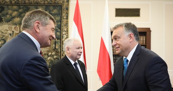 "Premier Węgier Viktor Orban wykorzystuje prezesa PiS Jarosława Kaczyńskiego. Zawsze może mówić w UE, żeby nie atakować tak bardzo Węgrów, bo dużo gorsi są Polacy pod rządami PiS" - ocenił lider Nowoczesnej Ryszard Petru.