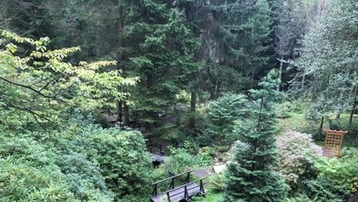 Lądek-Zdrój: Najwyżej położone arboretum w Polsce