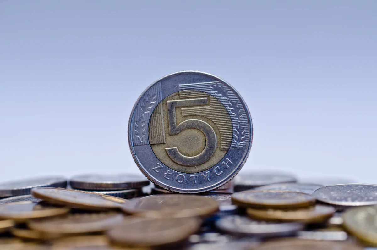 Prawie 11,6 milionów zł są dłużni polscy studenci uczelniom - wynika z danych Krajowego Rejestru Długów. Statystyczny zadłużony żak musi oddać 2 054 złote. Jak obliczył KRD, przed rozpoczęciem nowego roku akademickiego polskie uczelnie czekają na spłatę 11 mln 578 tys. 875 złotych. Na tę kwotę uzbierało się 11 tys. 445 nieuregulowanych rachunków za czesne, których nie zapłaciło 5 tys. 636 studentów.