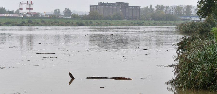 ​Deszcz nie przestaje padać w Małopolsce, pogotowie przeciwpowodziowe ogłoszono w ok. 20 gminach, w tym w Krakowie, gdzie - z powodu wysokiego poziomu Wisły - zostały zamknięte dwa tunele, ponieważ poziom rzeki uniemożliwia odprowadzanie wody deszczowej. 