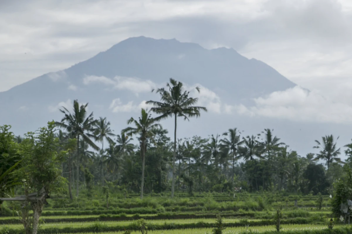 ​Prawie 50 tys. mieszkańców popularnej wśród turystów indonezyjskiej wyspy Bali ewakuowano w ostatnich dniach z obawy przed erupcją wulkanu Agung - poinformowały indonezyjskie władze. Ostatni raz wulkan ten wybuchł ponad 50 lat temu. "Liczba ewakuowanych wzrosła do 48 540 osób" - oświadczył na konferencji w Dżakarcie rzecznik indonezyjskiej agencji ds. klęsk żywiołowych Sutopo Purwo Nugroho.