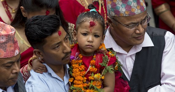 3-letnia Trishna Shakya została nową żywą boginią w Nepalu. Wystrojoną z czerwone szaty dziewczynkę zabrano z domu rodzinnego do antycznego pałacu, gdzie odbyła się krótka ceremonia. Dziewczynka pozostanie na tronie do czasu osiągnięcia dojrzałości.