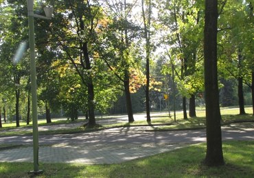 Malownicza trasa Silesia Marathonu