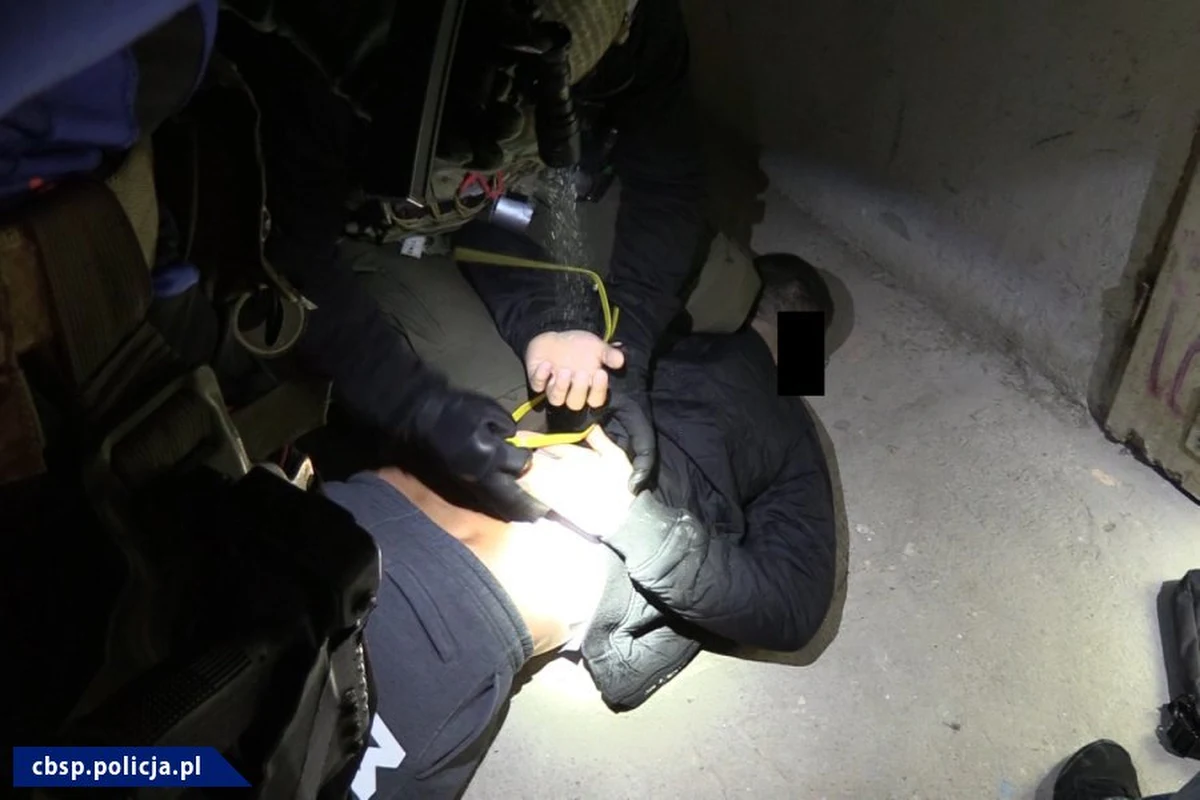 43 osoby związane z multi-przestępczym "gangiem Suchego", specjalizującym się m.in. w produkcji i obrocie narkotykami, wyrobami tytoniowymi i handlu bronią zatrzymano w Polsce, Niemczech i Francji – poinformował rzecznik warszawskiej prokuratury okręgowej Łukasz Łapczyński.