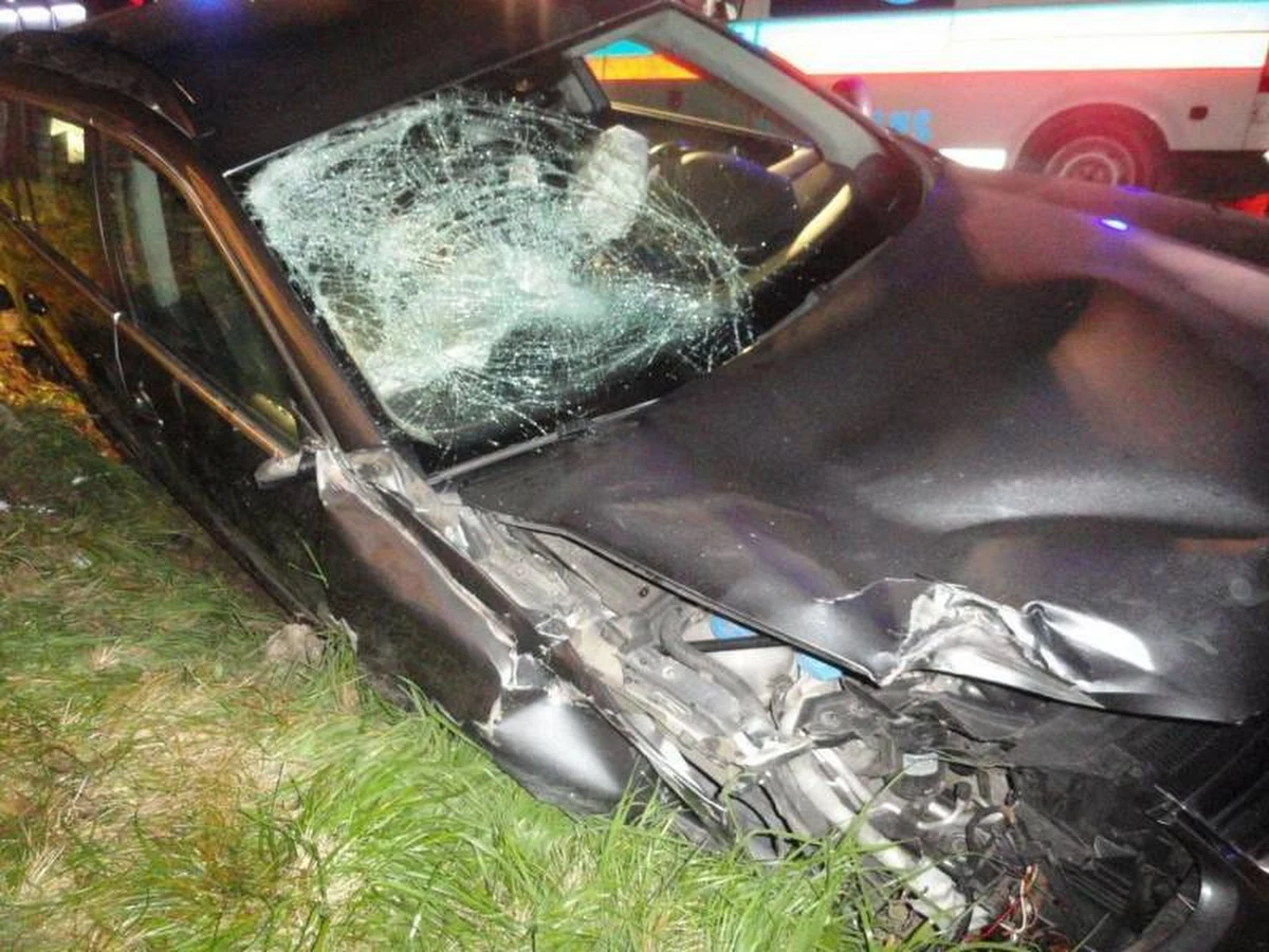 Nowosądecka prokuratura wszczęła śledztwo ws. Tragicznego wypadku w Łabowej. Do 12 lat więzienia grozi pijanemu kierowcy, który w niedzielę wieczorem wjechał tam w stojącą na przystanku autobusowym kobietę. 48-latka zginęła na miejscu.