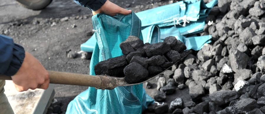 Antracyt, czyli najbardziej energetyczny rodzaj węgla, sprowadza do Polski spółka Doncoaltrade. Surowiec, który w Rosji dostaje sfałszowany certyfikat pochodzenia, wydobywany jest na kontrolowanym przez separatystów wschodzie Ukrainy - ujawnia w środę "DGP"