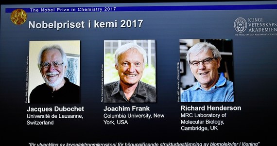 Nagrodę Nobla w dziedzinie chemii otrzymali w tym roku Jacques Dubochet ze Szwajcarii, Joachim Frank z Niemiec i Richard Henderson z Wielkiej Brytanii. Wyróżniono ich za opracowanie metody mikroskopii krio-elektronowej wysokiej rozdzielczości do badań struktury cząstek biologicznych w roztworach. To pozwoliło na obserwację procesów biologicznych w sposób, który wcześniej nie był możliwy, i wprowadziło biochemię w zupełnie nową erę odkryć.