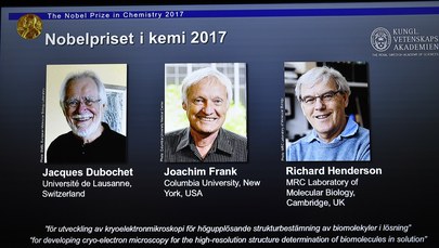 Nobel z chemii za zdjęcia biocząsteczek w naturalnym otoczeniu