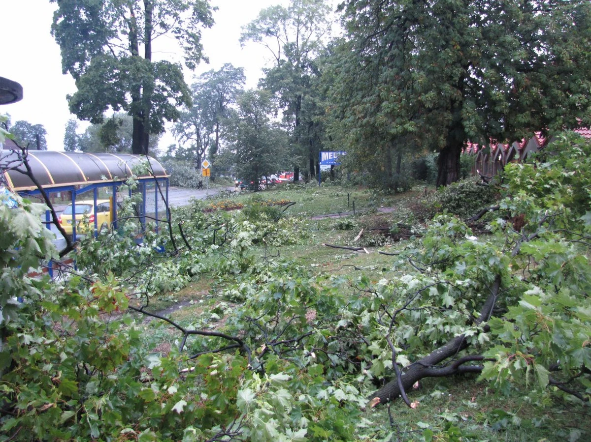 Nadciąga potężny niż Ksawery, który przyniesie wichury i ulewy. Mocno wiać ma w niemal całej Polsce - w porywach nawet do 100-130 km/h. Instytut Meteorologii i Gospodarki Wodnej - PIB wydał ostrzeżenia drugiego stopnia dla 12 województw.