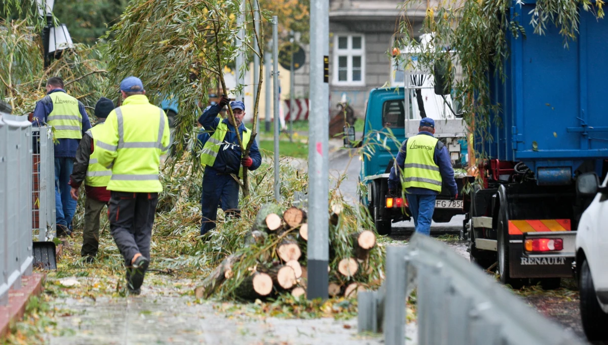 Dwie ofiary śmiertelne, setki tysięcy domów bez prądu, zablokowane tory kolejowe i drogi – takie spustoszenie pozostawił po sobie w Polsce orkan Ksawery. W Niemczech mowa jest o co najmniej 8 ofiarach. W Polsce najgorsza sytuacja jest w Wielkopolsce, województwie lubuskim i na Dolnym Śląsku. To tam najwięcej pracy mieli strażacy, którzy usuwali tysiące zawalonych drzew, udrażniali drogi i trasy kolejowe, zabezpieczali budynki. Najsilniej wiatr wiał w wielkopolskim Kaliszu - aż 112 kilometrów na godzinę! "Naprawianie szkód, w tym zniszczonych dachów potrwa jeszcze wiele dni" – mówił na konferencji prasowej Komendant Główny Państwowej Straży Pożarnej generał brygadier Leszek Suski. W całym kraju bez prądu jest aż 636 tysięcy odbiorców. 