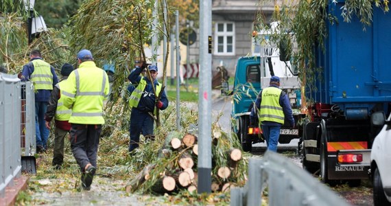 Dwie ofiary śmiertelne, setki tysięcy domów bez prądu, zablokowane tory kolejowe i drogi – takie spustoszenie pozostawił po sobie w Polsce orkan Ksawery. W Niemczech mowa jest o co najmniej 8 ofiarach. W Polsce najgorsza sytuacja jest w Wielkopolsce, województwie lubuskim i na Dolnym Śląsku. To tam najwięcej pracy mieli strażacy, którzy usuwali tysiące zawalonych drzew, udrażniali drogi i trasy kolejowe, zabezpieczali budynki. Najsilniej wiatr wiał w wielkopolskim Kaliszu - aż 112 kilometrów na godzinę! "Naprawianie szkód, w tym zniszczonych dachów potrwa jeszcze wiele dni" – mówił na konferencji prasowej Komendant Główny Państwowej Straży Pożarnej generał brygadier Leszek Suski. W całym kraju bez prądu jest aż 636 tysięcy odbiorców. 