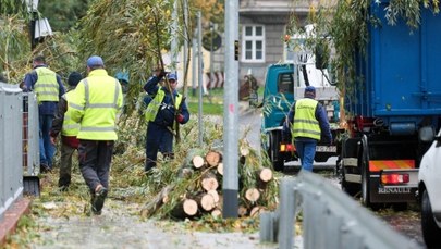 Ofiary śmiertelne, chaos na torach i drogach. Orkan Ksawery uderzył z całą siłą 