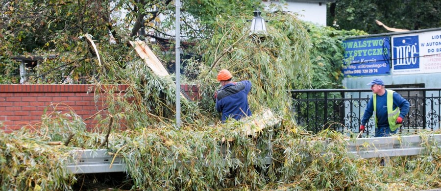 Spośród 1,4 mln odbiorców pozbawionych zasilania przez orkan Ksawery udało się już przywrócić dopływ energii elektrycznej dla 850 tys. osób - podało Ministerstwo Energii. Jak podkreślono, z godziny na godzinę maleje liczba awarii wywołanych przez orkan.