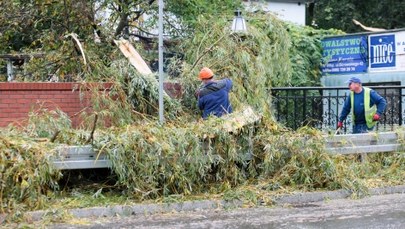 Ministerstwo Energii: Maleje liczba awarii wywołanych przez orkan