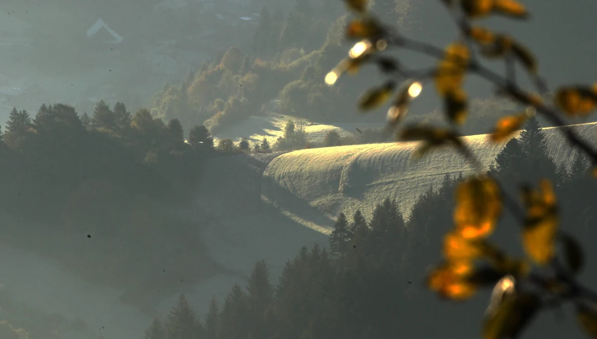 Policja z Nowego Sącza i rodzina poszukują 17-latka, który zaginął w Krościenku nad Dunajcem. Widziany był ostatnio w piątek 29 września około godz. 10:40, gdy wysiadał z autobusu w centrum miasta. 