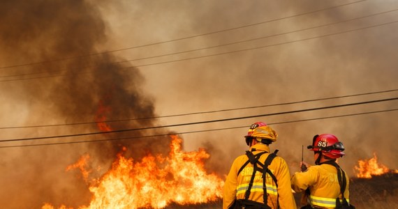  Potężne pożary pustoszą amerykański stan Kalifornia. Ogień zabił już co najmniej 10 osób. Według wstępnych szacunków spłonęło ok. 1,5 tys. budynków. Gubernator stanu Jerry Brown ogłosił stan wyjątkowy.