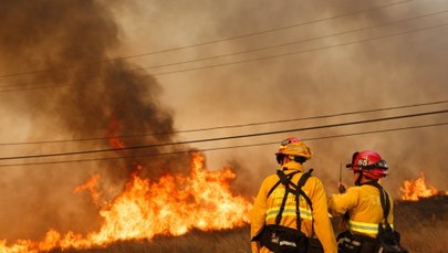 Gigantyczne pożary w Kalifornii. Spłonęło ponad 1500 budynków