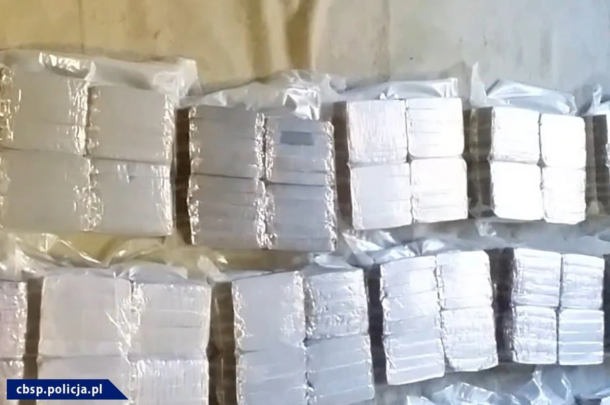 ​CBŚP zatrzymało cztery osoby podejrzane o udział w zorganizowanej grupie przestępczej, która próbowała przemycić narkotyki z Polski do Skandynawii. Zabezpieczono 138 kg narkotyków, głównie haszyszu, o czarnorynkowej wartości 7 mln zł - dowiedziała się PAP w CBŚP.