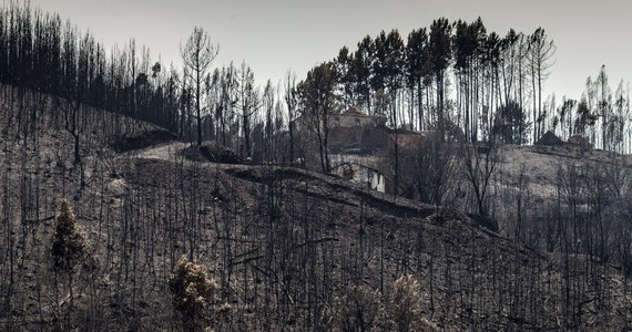 Awaria sieci elektrycznej była bezpośrednią przyczyną czerwcowego pożaru w gminie Pedrogao Grande w środkowej Portugalii. Zginęły wówczas 64 osoby - wynika z raportu niezależnej komisji ekspertów.