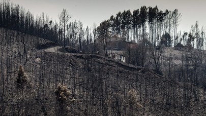 To był najtragiczniejszy pożar w historii Portugalii. Przyczyną awaria sieci elektrycznej