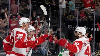 NHL. Vegas Golden Knights - Detroit Red Wings 3-6