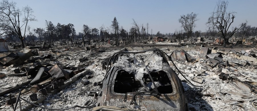 ​Co najmniej 40 osób zginęło już w pożarach lasów i zarośli w Kalifornii - poinformowały w sobotę władze tego stanu. Żywioł zniszczył już blisko 6 tys. budynków. Do tej pory ewakuowano około 100 tys. osób.