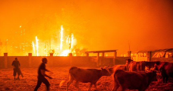 W trwających od niedzielnego wieczora na Półwyspie Iberyjskim pożarach zginęło w Portugalii co najmniej 27 osób, a w Hiszpanii - trzy. Kilkaset osób zostało w ostatnich godzinach ewakuowanych z uwagi na zbliżający się do ich domostw ogień.