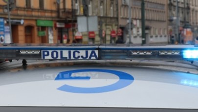 Zatrzymany, skuty kajdankami, uciekł policjantom z radiowozu. Ukrył się w... polu kukurydzy