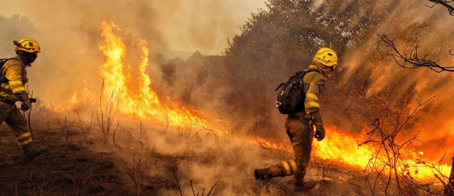 ​Jak informują media, los 100 osób w słynących z produkcji wina kalifornijskich okręgach Napa i Sonoma, położonych na północ od San Francisco, pozostaje nieznany. W okręgach tych przyjęto prawie 2000 zgłoszeń o osobach zaginionych, jednak większość została odnaleziona.