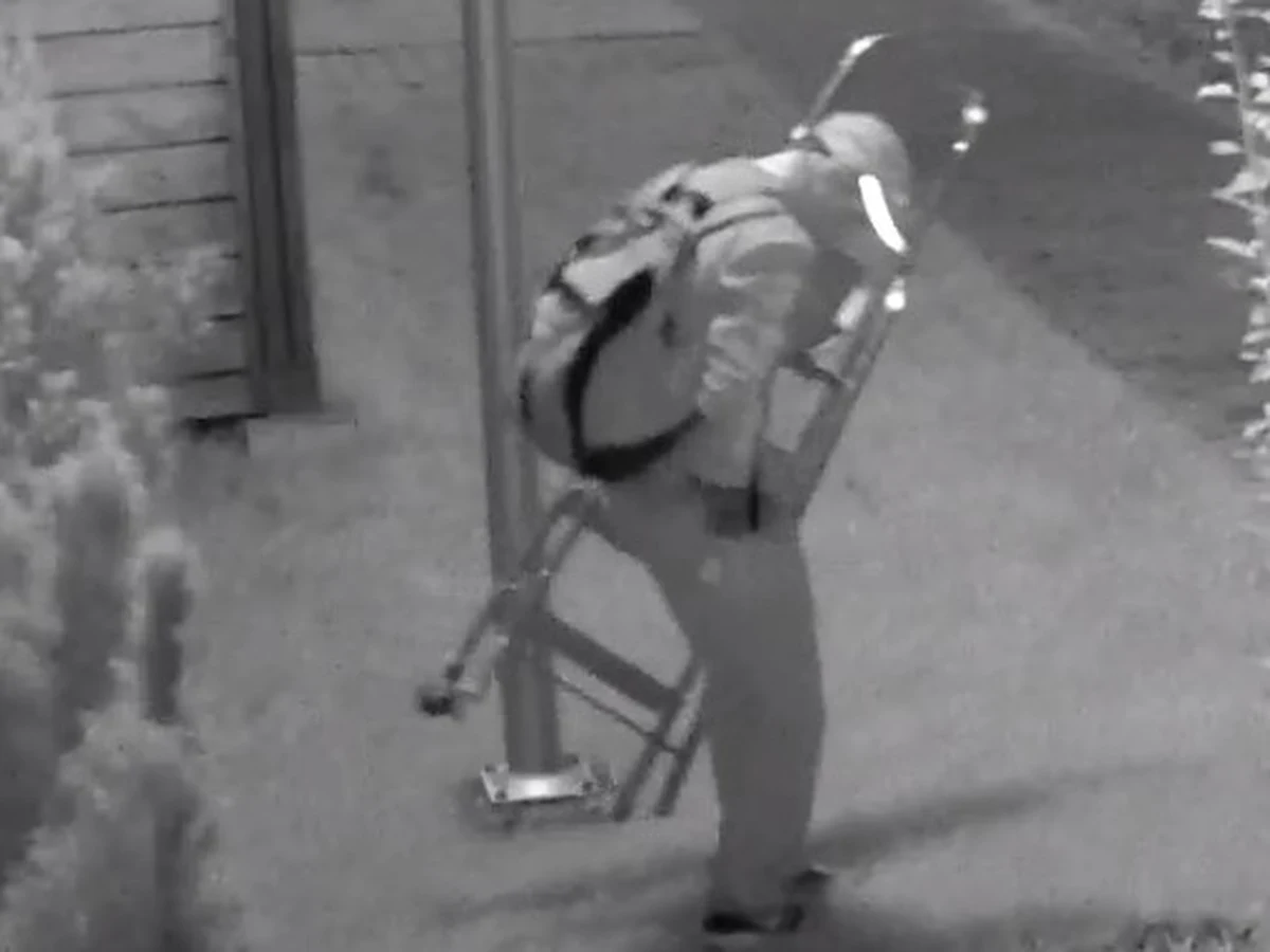 Poznańska policja poszukuje złodzieja, który w lipcu ukradł rower. Moment ten zarejestrował osiedlowy monitoring. Na filmie widać, jak mężczyzna po drabinie wchodzi na balkon i kradnie dwuślad. 