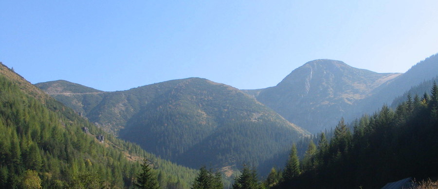 Ze szczątków odnalezionych na początku września w Dolinie Roztoki w Tatrach udało się wyodrębnić kod DNA - poinformowała szefowa zakopiańskiej prokuratury Barbara Bogdanowicz. DNA zostanie porównane z próbkami pobranymi od wytypowanych rodzin.