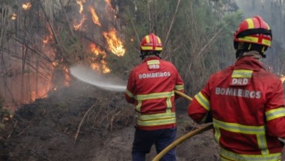 Za pożarami w Hiszpanii i Portugalii stoją grupy przestępcze. Policja ma dowody